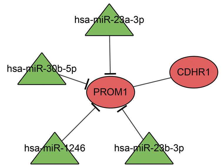 microRNA Microarray