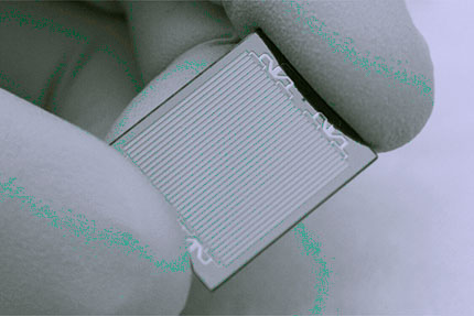 Microarray Services