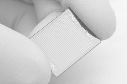 Microarray Services