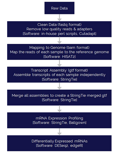 poly-a-pipeline-2 Poly(A) Data Analysis Pipeline