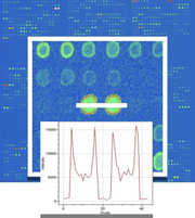 spotted_array_data