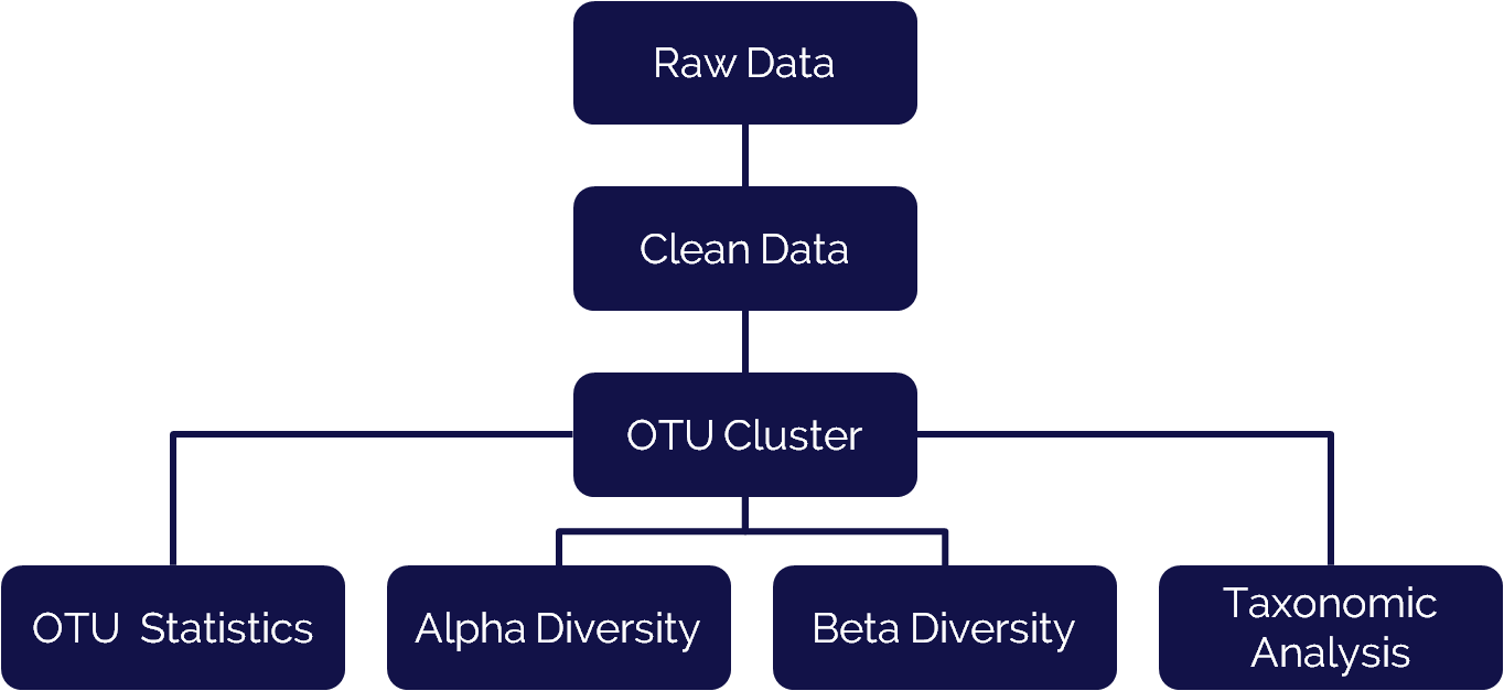 16s-data-flow