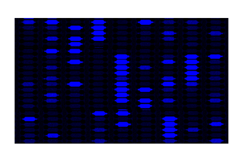 chip-raw-data