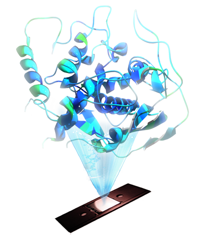peptide-array