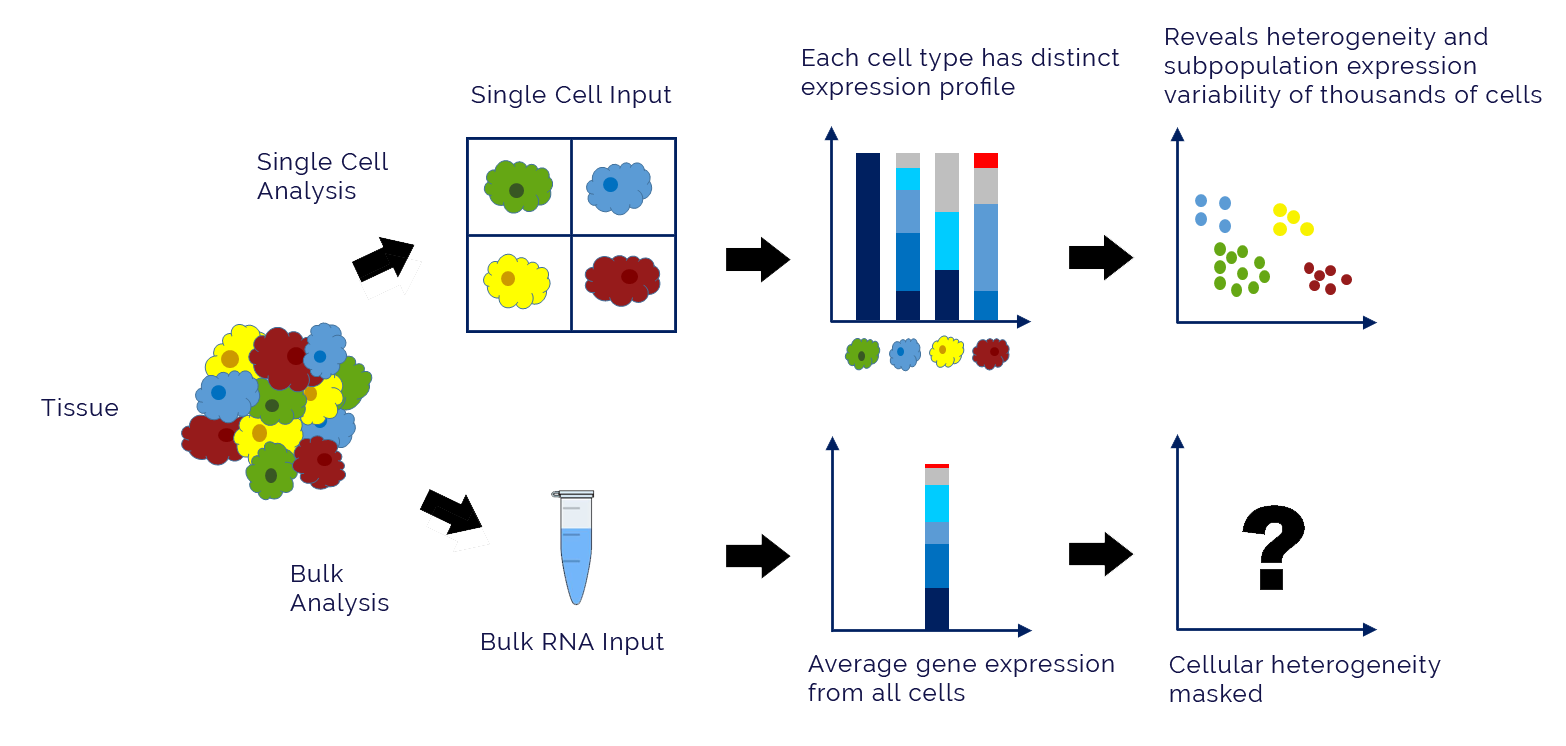signle-cell-analysis